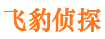 红旗市私家侦探